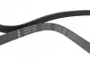 Фото Ремінь генератора Audi A8 3.0i 03-06/Lexus GS/IS 3.0/3.5 00-11/Ford Fiesta 1.25-1.6 94-02 INA (FB6PK1930) зображення 2