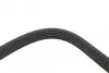 Фото Ремінь генератора Audi A8 3.0i 03-06/Lexus GS/IS 3.0/3.5 00-11/Ford Fiesta 1.25-1.6 94-02 INA (FB6PK1930) зображення 3