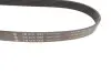 Ремень генератора Land Rover Discovery/Range Rover 2.0/3.0 D 12- INA (FB 6PK1935) изображение 3