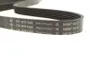 Фото Ремінь генератора Ford Transit 2.3 16V 00-06 (RWD) INA (FB 6PK1955) зображення 3