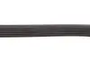 Ремінь генератора MB Sprinter CDI (-AC) 00-06 INA (FB6PK2193) зображення 3