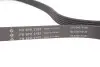 Ремінь генератора MB Sprinter CDI (-AC) 00-06 INA (FB6PK2193) зображення 4