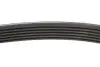 Ремінь генератора Citroen Berlingo/Peugeot Partner 1.6HDI/ Ford Fiesta/Focus 1.4-1.6 TDCi 01 INA (FB6PK800) зображення 3