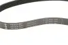 Ремінь генератора Citroen Berlingo/Peugeot Partner 1.6HDI/ Ford Fiesta/Focus 1.4-1.6 TDCi 01 INA (FB6PK800) зображення 4