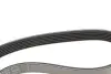 Фото Ремінь генератора Opel Movano 2.8DTI 98-01/VW Crafter 30-35 2.0TDI 11- (ALT,WP) INA (FB6PK844) зображення 3