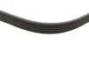 Фото Ремінь генератора Citroen C4/C5 14-/Renault Kangoo/Clio 1.9D 97- (6PK893XS) INA (FB6PK894) зображення 3