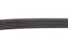 Ремінь генератора VW Golf/Skoda Octavia 2.0i 04-13/Mazda 2/3 1.5 13-/Kia Ceed/Cerato 1.4/1.6 07 INA (FB6PK948) зображення 3