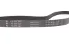 Ремінь генератора VW Golf/Skoda Octavia 2.0i 04-13/Mazda 2/3 1.5 13-/Kia Ceed/Cerato 1.4/1.6 07 INA (FB6PK948) зображення 4