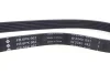 Фото Ремінь генератора Ford Transit/Citroen Berlingo/Peugeot 308 1.6D 13 INA (FB6PK962) зображення 2