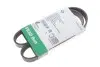 Фото Ремінь генератора Peugeot Partner 1.6 HDI 08 INA (FB6PK975) зображення 2