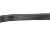 Фото Ремінь генератора Peugeot Partner 1.6 HDI 08 INA (FB6PK975) зображення 3