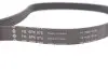 Фото Ремінь генератора Peugeot Partner 1.6 HDI 08 INA (FB6PK975) зображення 4