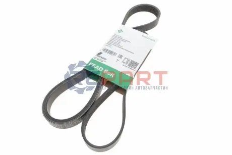 Ремінь генератора Honda Civic IX 1.6-1.8 11-/Mazda MPV II 2.5 V6 99-02 (6PK2093) INA FB 6XPK2093 Купити в Україні