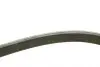 Фото Ремінь генератора VW Golf/Skoda Octavia 2.0i 04-13/Mazda 2/3 1.5 13-/Kia Ceed/Cerato 1.4/1.6 07 INA (FB6XPK953) зображення 3