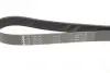Фото Ремінь генератора Iveco 2.3JTD INA (FB7PK1325) зображення 4