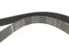 Ремень генератора поликлиновый INA (FB7PK1580) изображение 2