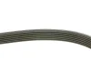 Фото Ремінь генератора Renault Espace 2.2 dCi 02-/Land Rover Discovery 4.0 V8 4x4 98-04 INA (FB 7PK1770) зображення 2