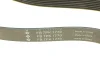 Фото Ремінь генератора Renault Espace 2.2 dCi 02-/Land Rover Discovery 4.0 V8 4x4 98-04 INA (FB 7PK1770) зображення 4