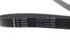 Фото Ремінь генератора Ford Transit 2.4TDCi/3.2TDCi 06 INA (FB7PK2683) зображення 2