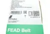 Фото Ремінь генератора Ford Transit 2.4 TDCI 06 INA (FB7PK2843) зображення 5