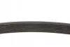Фото Ремінь генератора Renault Clio 1.2 16V 05-14 (7PK880) INA (FB 7PK880) зображення 2