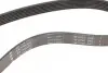 Фото Ремінь генератора Renault Clio 1.2 16V 05-14 (7PK880) INA (FB 7PK880) зображення 3