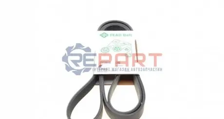 Фото Ремінь генератора MB G/GL/ML/S (W221) 3.0TD 06-09 INA (FB 8PK2035) зображення 1