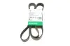 Ремінь генератора Land Rover Range Rover Sport 05-13/Discovery 2.7D 04- (8PK2093) INA FB8PK2093 Купити в Україні