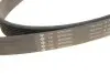 Фото Ремінь генератора Land Rover Range Rover Sport 05-13/Discovery 2.7D 04- (8PK2093) INA (FB8PK2093) зображення 4