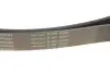 Фото Ремінь генератора Land Rover Range Rover Sport 05-13/Discovery 2.7D 04- (8PK2093) INA (FB8PK2093) зображення 5