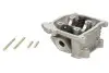 Голівка CHIŃSKI SKUTER/MOPED/MOTOROWER/ATV 4T KYMCO AGILITY 50 INPARTS (IP000019) зображення 1