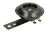 Фото Сигнал 100дБ CHIŃSKI SKUTER/MOPED/MOTOROWER/ATV 2T, 4T INPARTS (IP000064) зображення 1