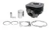 Циліндр (50 см³, 2T) PEUGEOT BUXY, ELYSEO, ELYSTAR, SPEEDAKE, SPEEDFIGHT, SPEEDFIGHT AC, SPEEDFIGHT II, SPEEDFIGHT II AC, SPEEDFIGHT III, SQUAB, SV, TKR, TREKKER, VIVACITY, ZENITH 50 1991-2013 INPARTS (IP000104) изображение 1