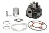 Циліндр (50 см³, 2T) APRILIA RALLY, SR MALAGUTI F12, F12R, F15 YAMAHA CS, YQ 50 1994-2015 INPARTS (IP000113) изображение 2