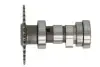 Розподільчий вал CHIŃSKI SKUTER/MOPED/MOTOROWER/ATV 4T INPARTS (IP000472) зображення 1