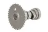 Розподільчий вал CHIŃSKI SKUTER/MOPED/MOTOROWER/ATV 4T INPARTS (IP000472) зображення 2