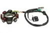 GY6-125 GY6-150 ((EN) No of coils: 8) CHIŃSKI SKUTER/MOPED/MOTOROWER/ATV 4T INPARTS (IP000501) зображення 2