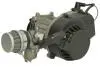 Двигун комплектний CHIŃSKI SKUTER/MOPED/MOTOROWER/ATV 2T INPARTS (IP000543) зображення 1