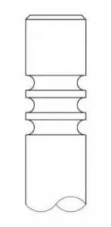 Клапан (впуск) Citroen Jumpy/Peugeot Expert 2.0HDi 16V 00- (30x6x106.2) (хромування) Intervalves 3244.032 Купити в Україні