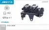 Катушка воспаления Janmor (JM5113) изображение 1