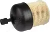 Фото Фильтр топлива RENAULT JAPANPARTS (FCECO097) изображение 1