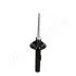 Фото PEUGEOT амортизатор газ.передн.прав. 206 988 JAPANPARTS (MM-00981) зображення 3