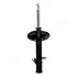 Фото TOYOTA амортизатор газ.передн.прав. (545мм) RAV-4 2,0 4WD -00 JAPANPARTS (MM-22071) зображення 3