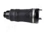 DB Пневмо подушка передн. R-CLASS (W251, V251) R 300 09-14 JAPANPARTS (MM-AS007) изображение 2