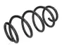 Фото VW пружина передня L=310mm SEAT Altea 04 JAPANPARTS (ZC1716H) зображення 1