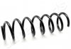 Coil Spring JAPANPARTS ZC3396A (фото 1)