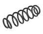 Пружина (задня) Seat Ibiza 1.9TDI 02-09 (накл.зад.ч)(ос.Sport,FR)/Skoda Fabia 1.2-1.4TDI 07-14 (ун) JAPANPARTS (ZC5136A) зображення 1