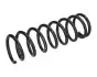 Фото JAGUAR Пружина задня X-Type 2.5-3.0 JAPANPARTS (ZC5939D) зображення 1