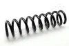 Фото BMW пружина задня F20 JAPANPARTS (ZC6171A) изображение 1