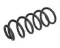 Фото FIAT пружина задня Fiorino 07 JAPANPARTS (ZC6196A) зображення 1